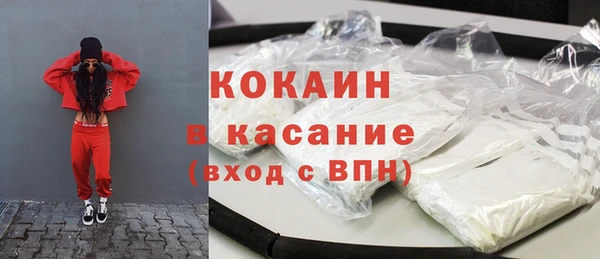 прущие грибы Няндома