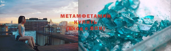 прущие грибы Няндома