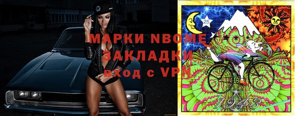 прущие грибы Няндома