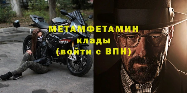 прущие грибы Няндома