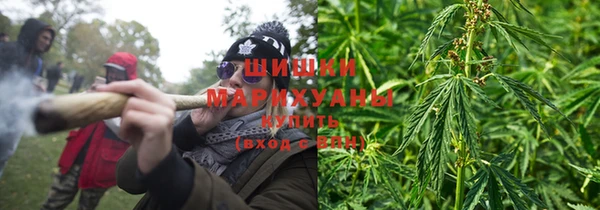 прущие грибы Няндома