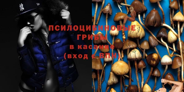 прущие грибы Няндома